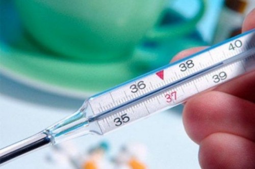 Зарегистрировано снижение заболеваемости ОРВИ и гриппом к уровню прошлой недели, но эпидпорог по-прежнему превышен среди новгородских школьников