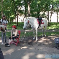 Лошадь в парке