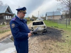 В деревне Деревцово мужчина 1953 года рождения убил свою сестру и её сына