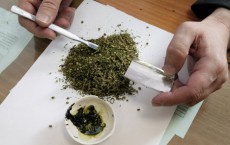 Полицейские изъяли марихуану у жителя деревни Соколье